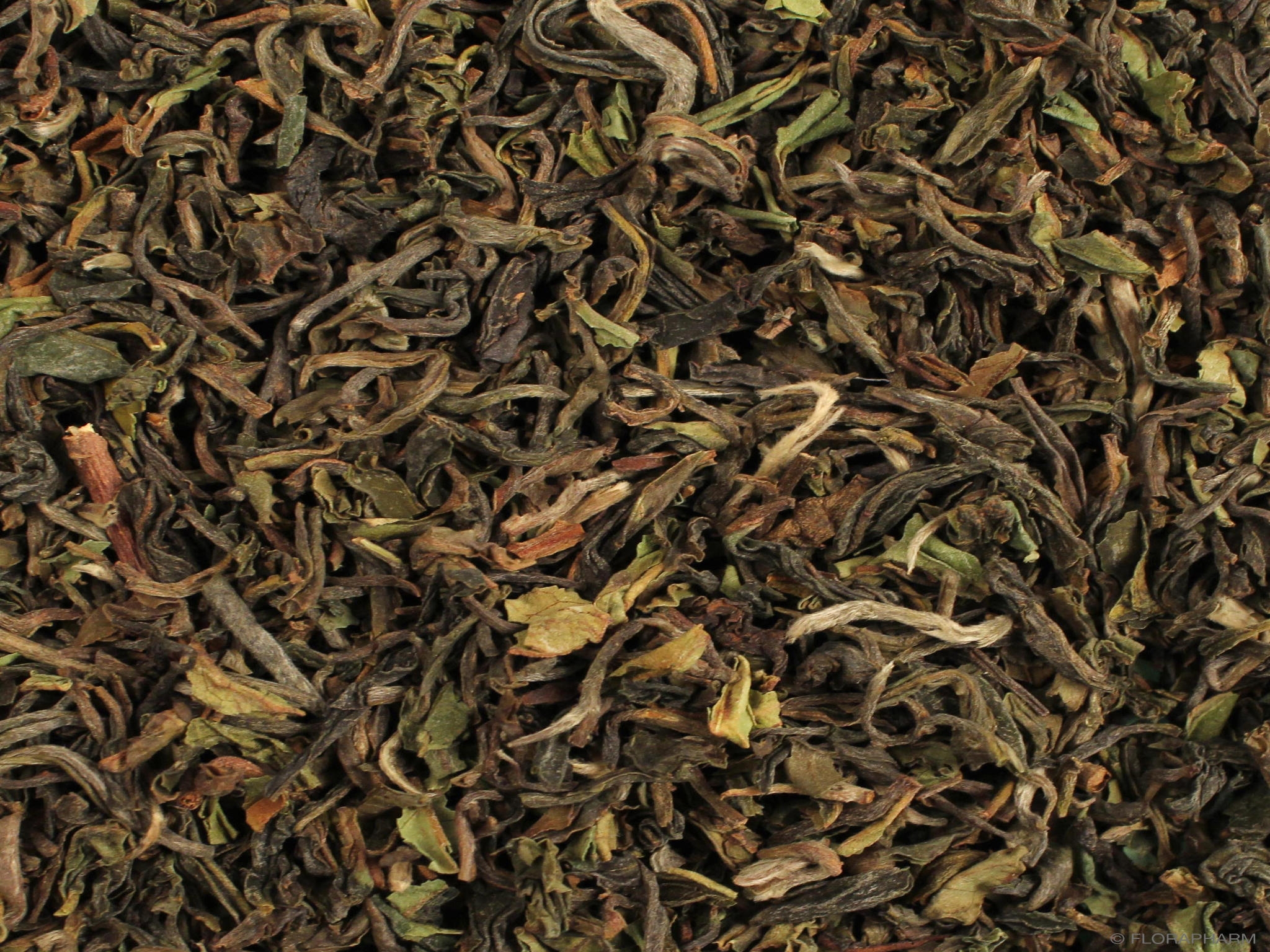 Darjeeling Royal Garden first flush FTGFOP1, Schwarzer Tee